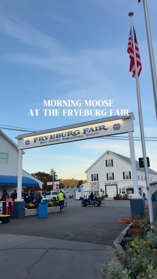 Morning Moose Coffee