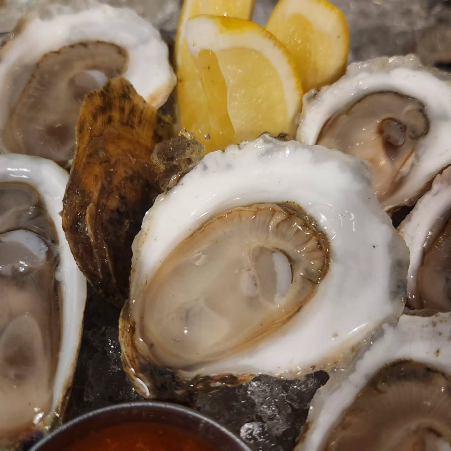 Jolie Rogers Raw Bar
