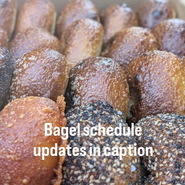 Blue House Bagels