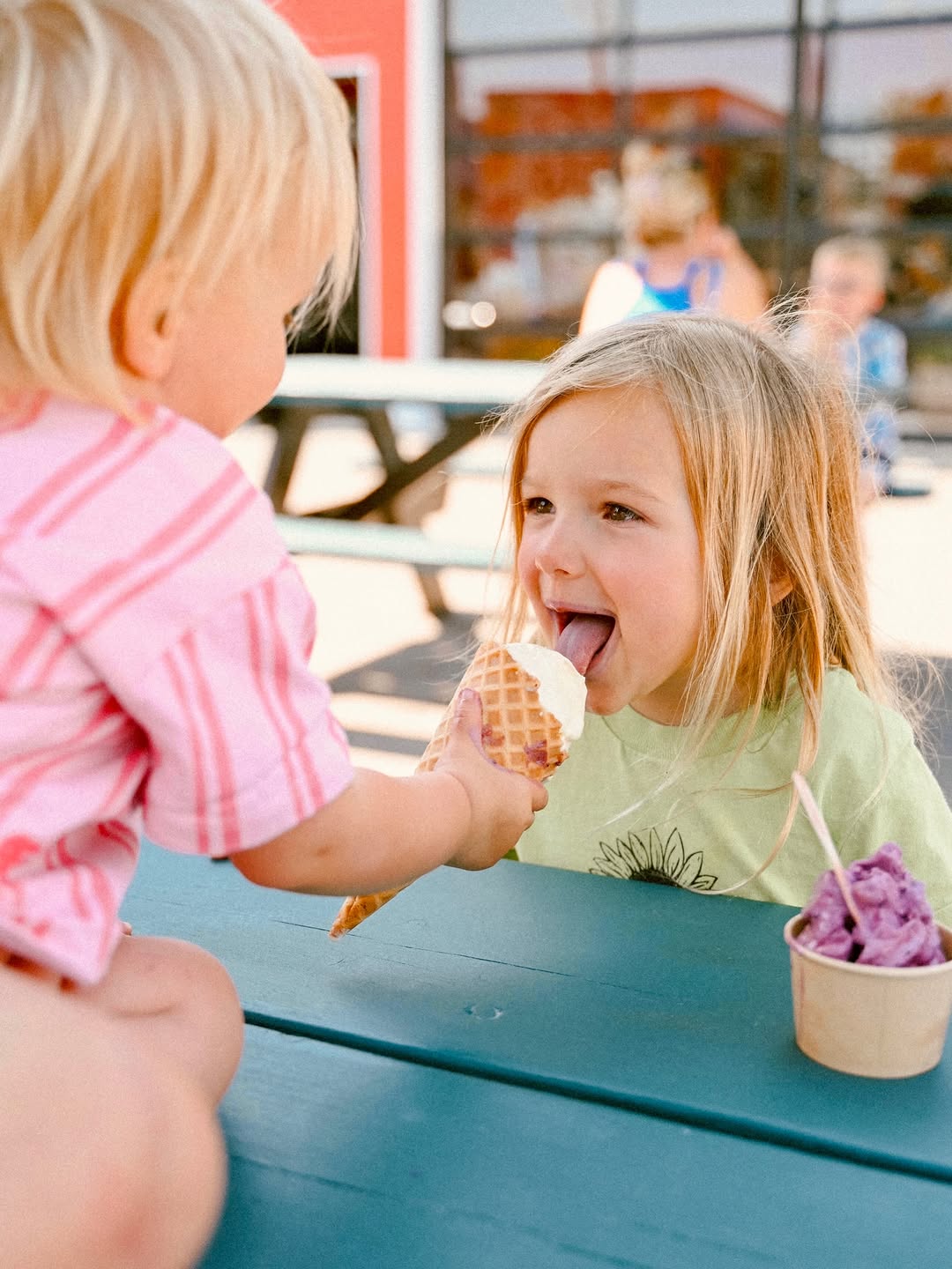 Reef’s Real Fruit Ice Cream
