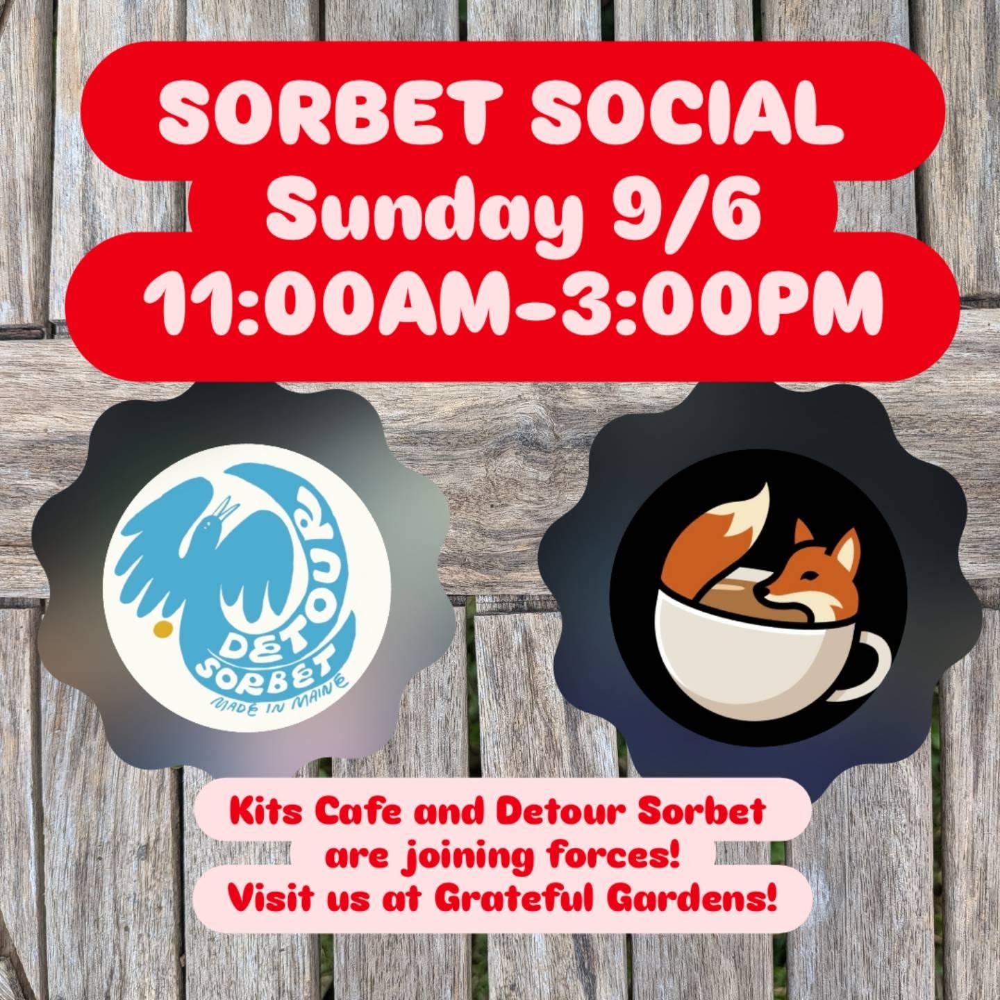 Detour Sorbet
