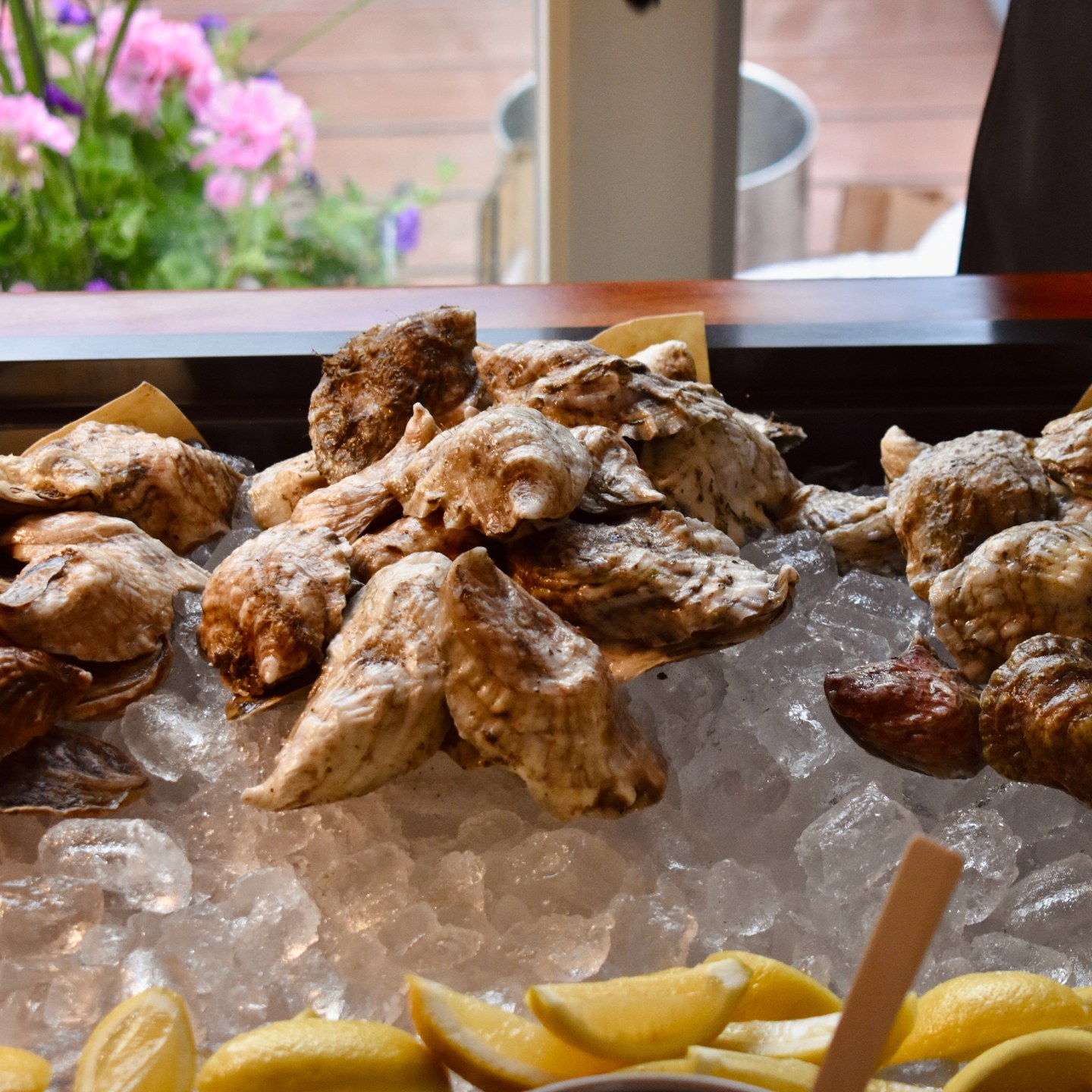 Saltsmith Oyster Co.