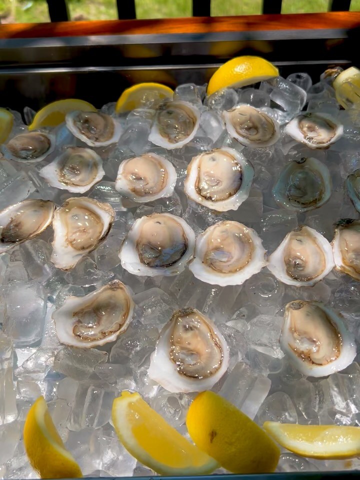 Saltsmith Oyster Co.