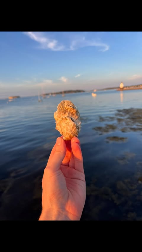 Saltsmith Oyster Co.
