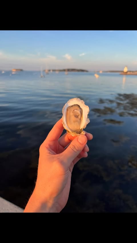 Saltsmith Oyster Co.