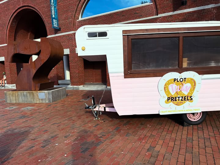 Plot Twist Pretzels