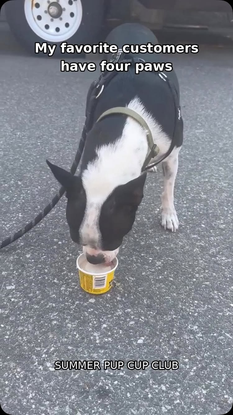York Beach Eats
