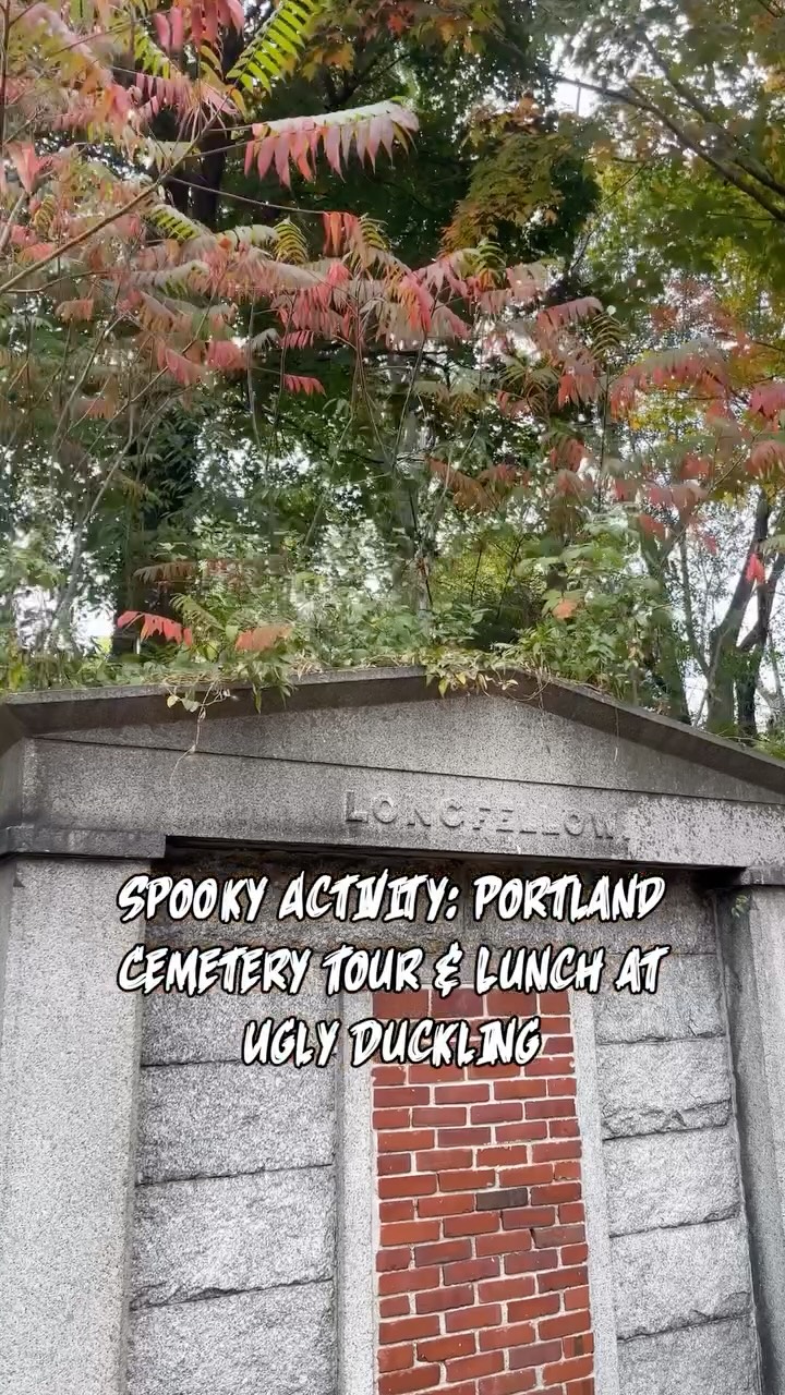 Ugly Duckling on Wheels