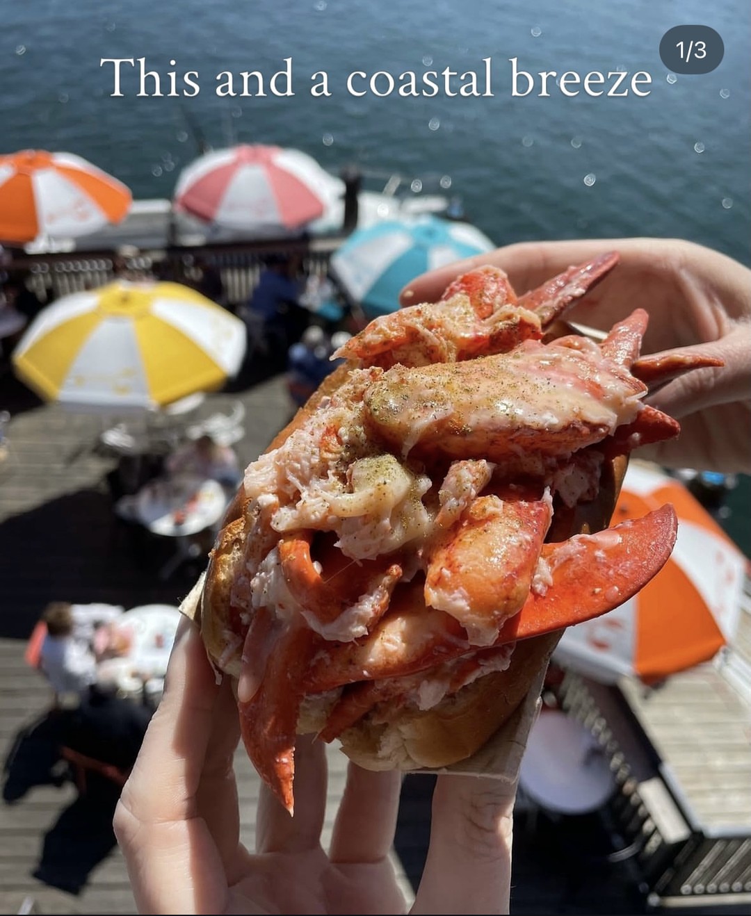 Lukes Lobster