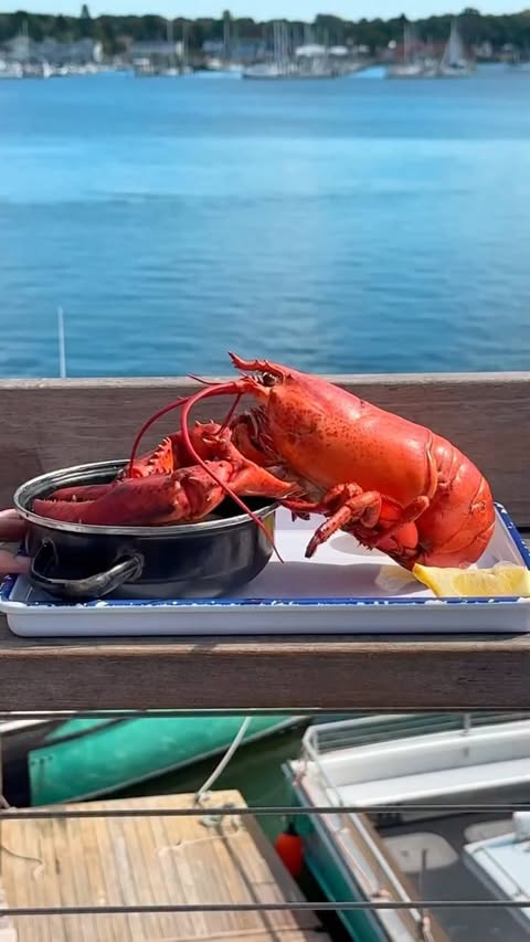 Lukes Lobster