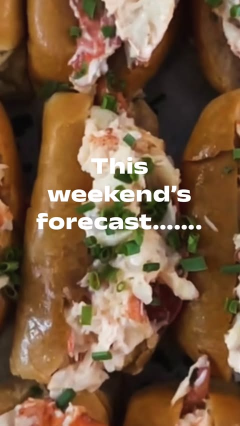 Bite Into Maine